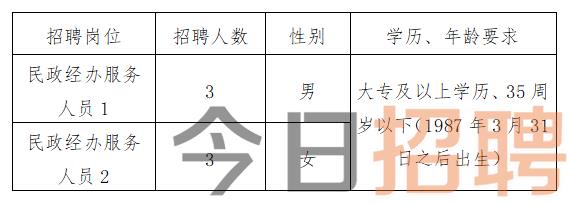 宜良县民政局最新招聘信息全面解析