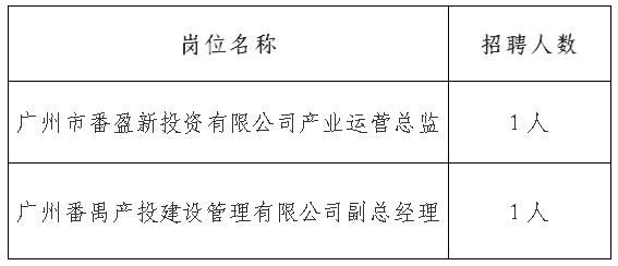 新盈镇最新招聘信息全面解析