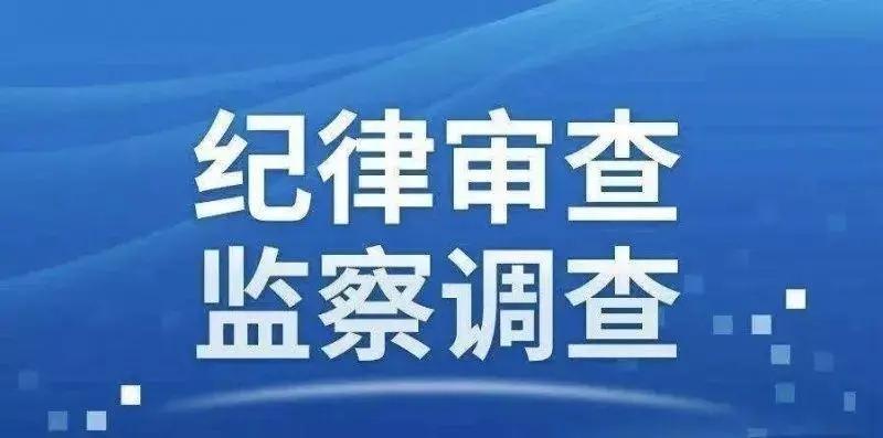 2024年12月3日 第29页