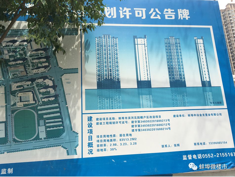 龙子湖区住建局最新项目进展报告概览