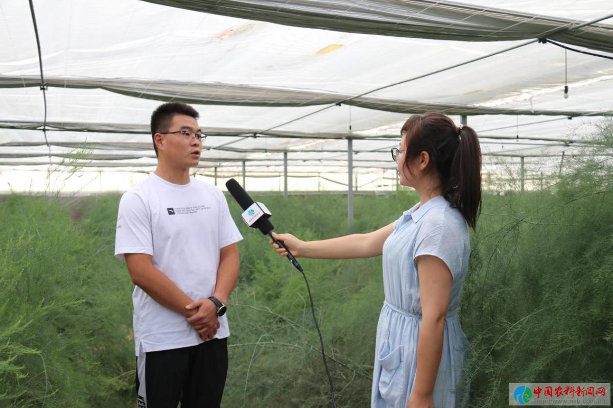 永寿县计生委最新招聘信息与职业发展前景展望