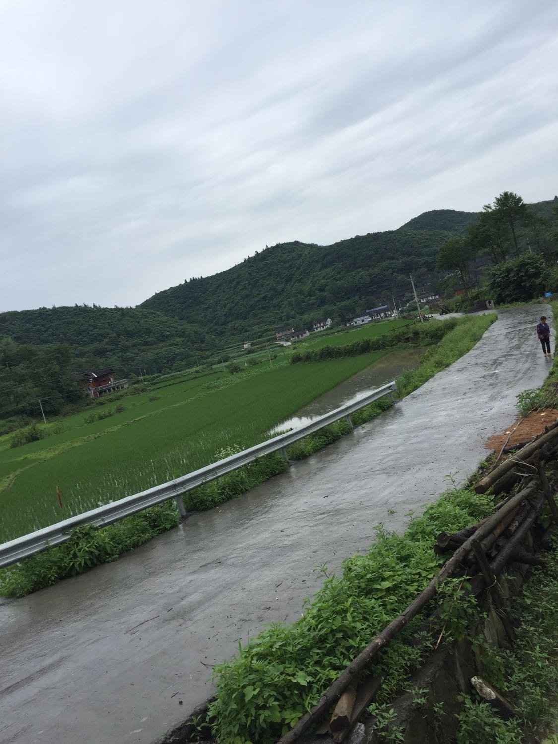 岔路村民委员会天气预报及影响解析