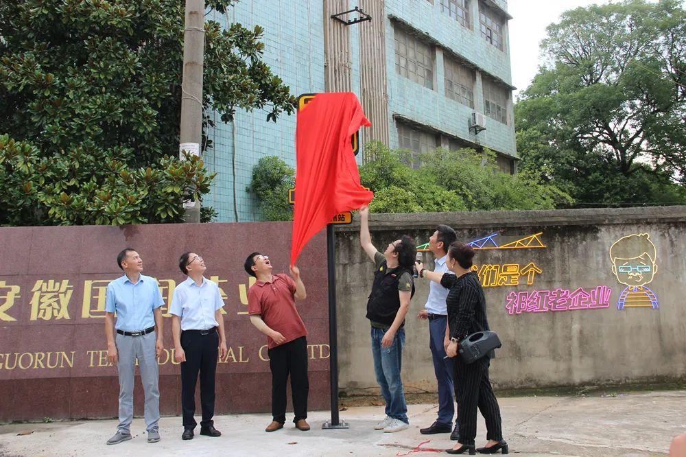 祁门县图书馆现代化发展规划，打造知识殿堂，助推全民阅读时代