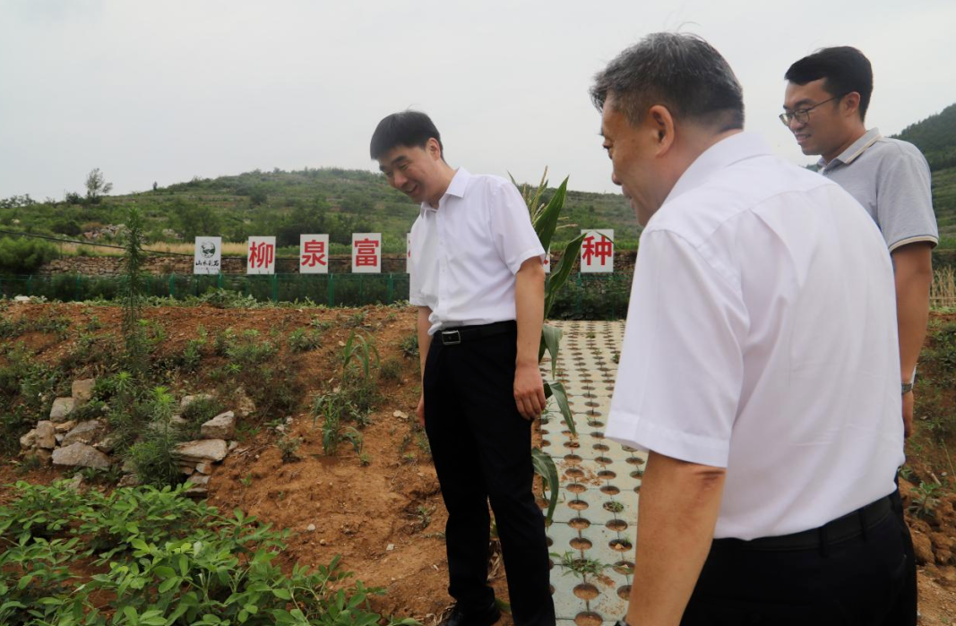 彩石镇新领导团队引领未来，共筑美好新篇章