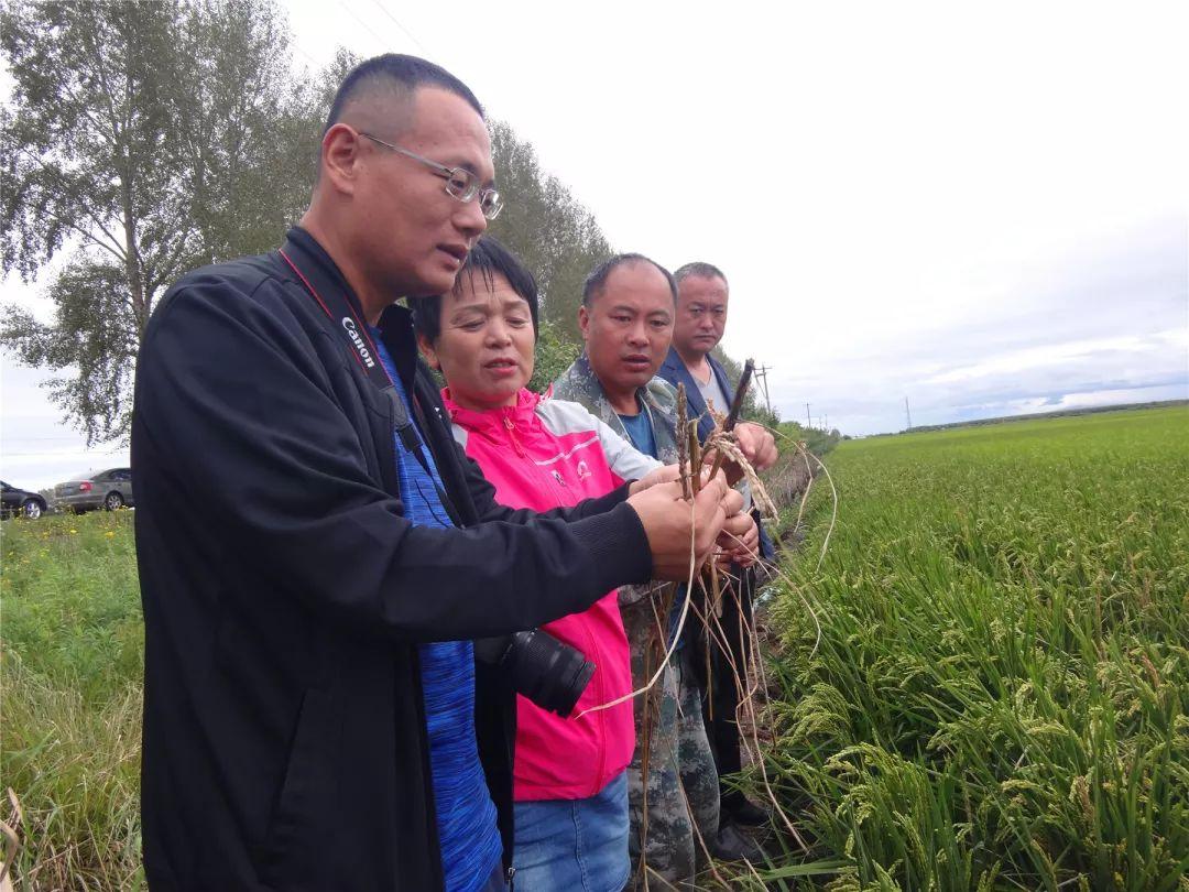 饶河县人力资源和社会保障局新项目，助推经济发展，提升民生福祉