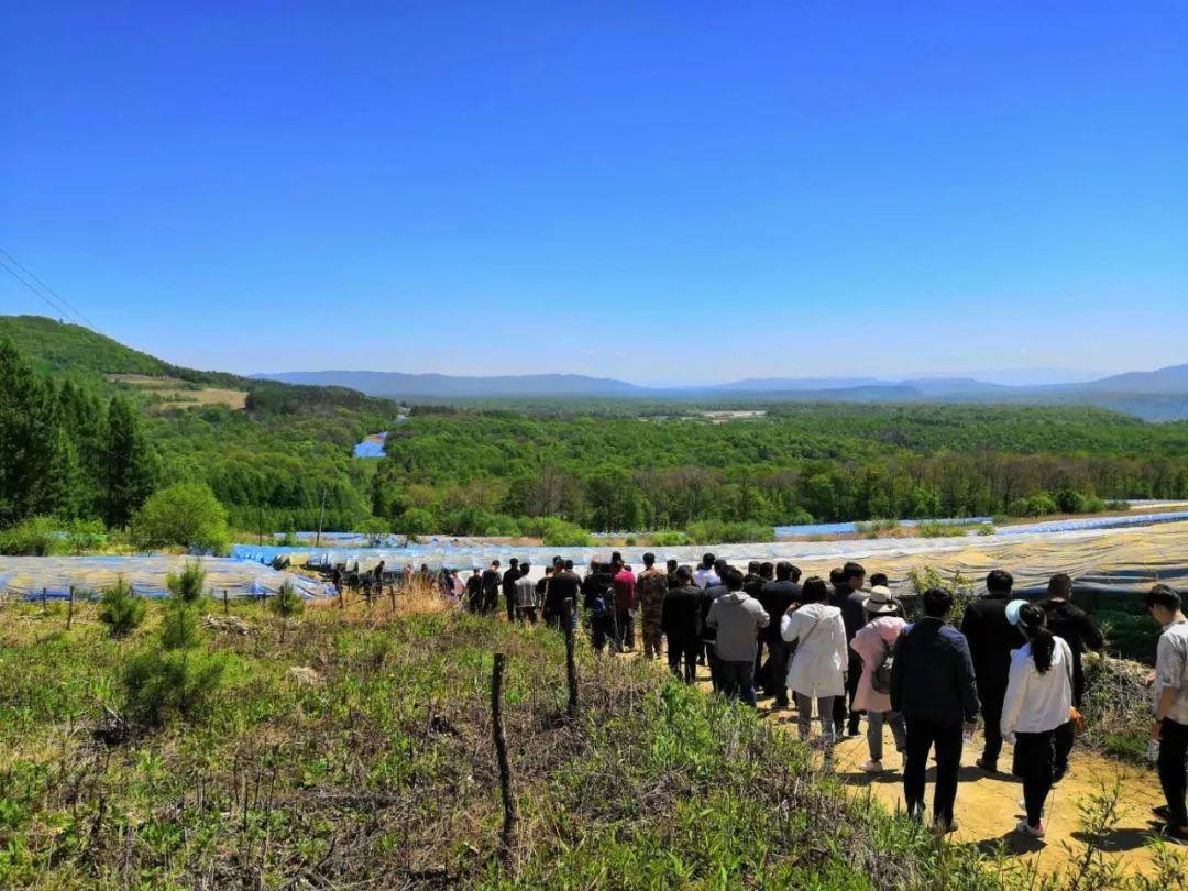 湖村镇新项目引领未来城镇发展引擎启动