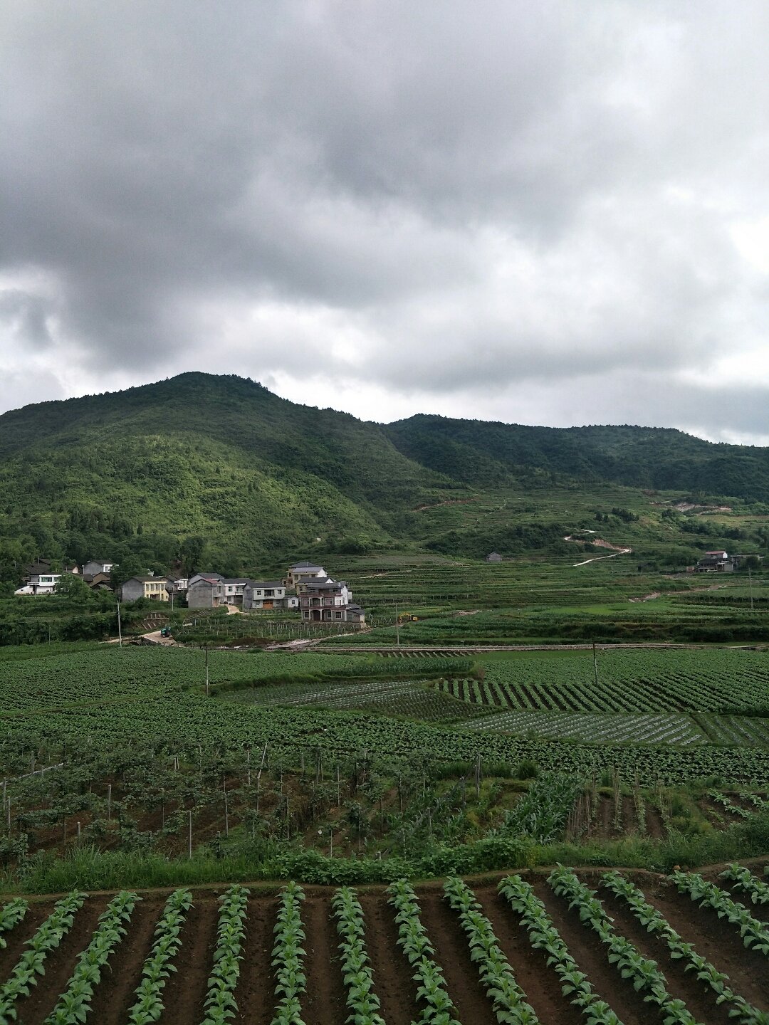 蒋家乡天气预报更新通知