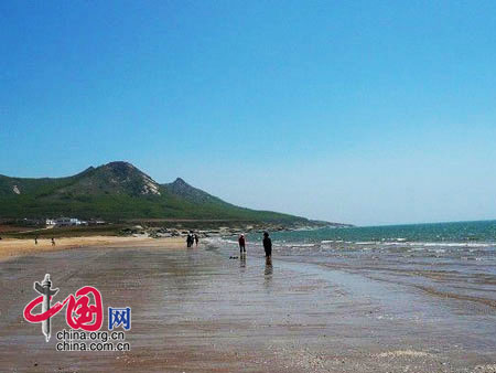 菊花岛乡最新项目，地区发展璀璨明珠引领前行