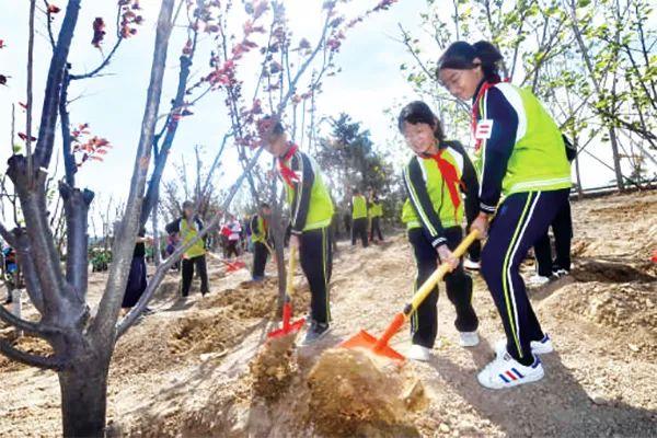 青山村委会天气预报更新通知