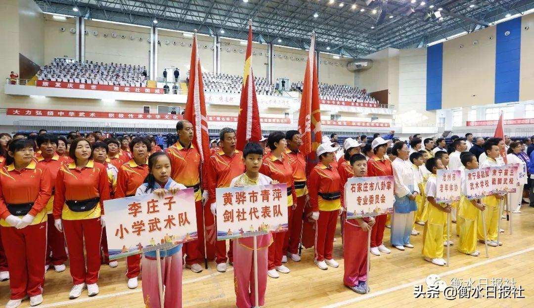 安平县体育馆最新项目，现代化体育新地标建设启动