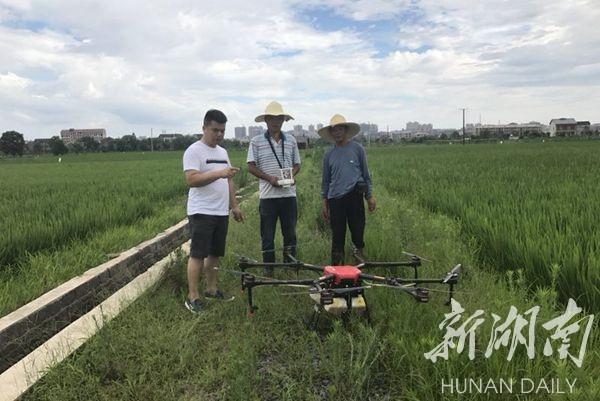 衡南县市场监督管理局最新发展规划概览