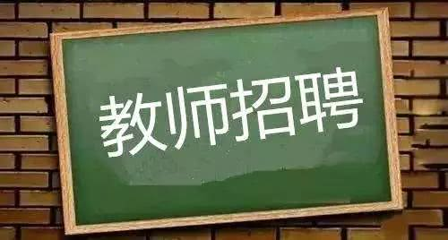 新政乡最新招聘信息深度解读与概述