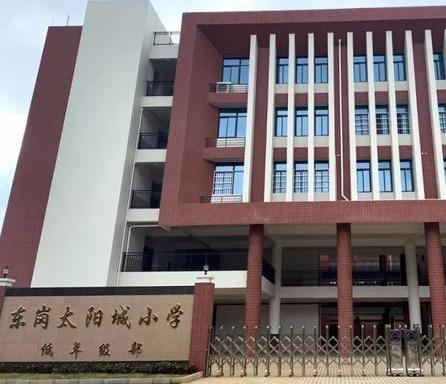 龙湾区小学领导最新概览