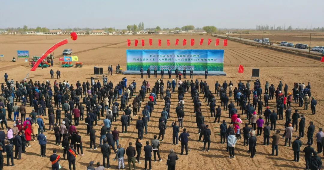 巴彦淖尔市中滩农场新项目引领农业现代化，助推地方经济腾飞